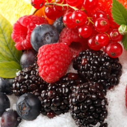 Fruits des bois