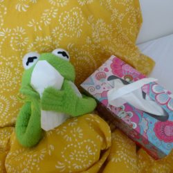 Grenouille et mouchoirs