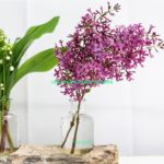 Les coups d'oeil du mois - Mai 2018 (sur fond de fleurs de muguet)