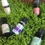 Flacons d'huiles essentielles dans de la verdure